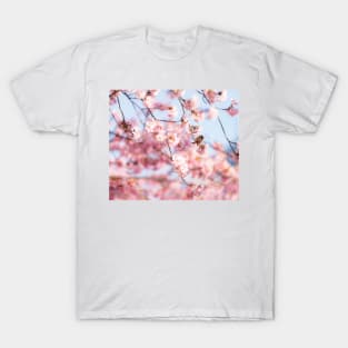 Floral And Sparrow T-Shirt